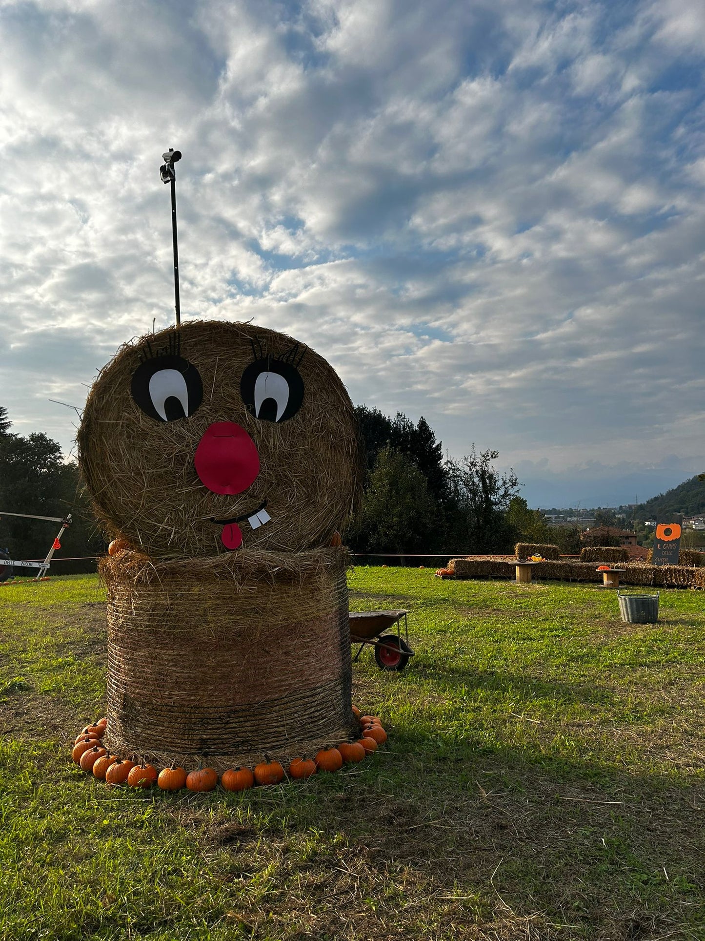 Biglietto campo delle zucche