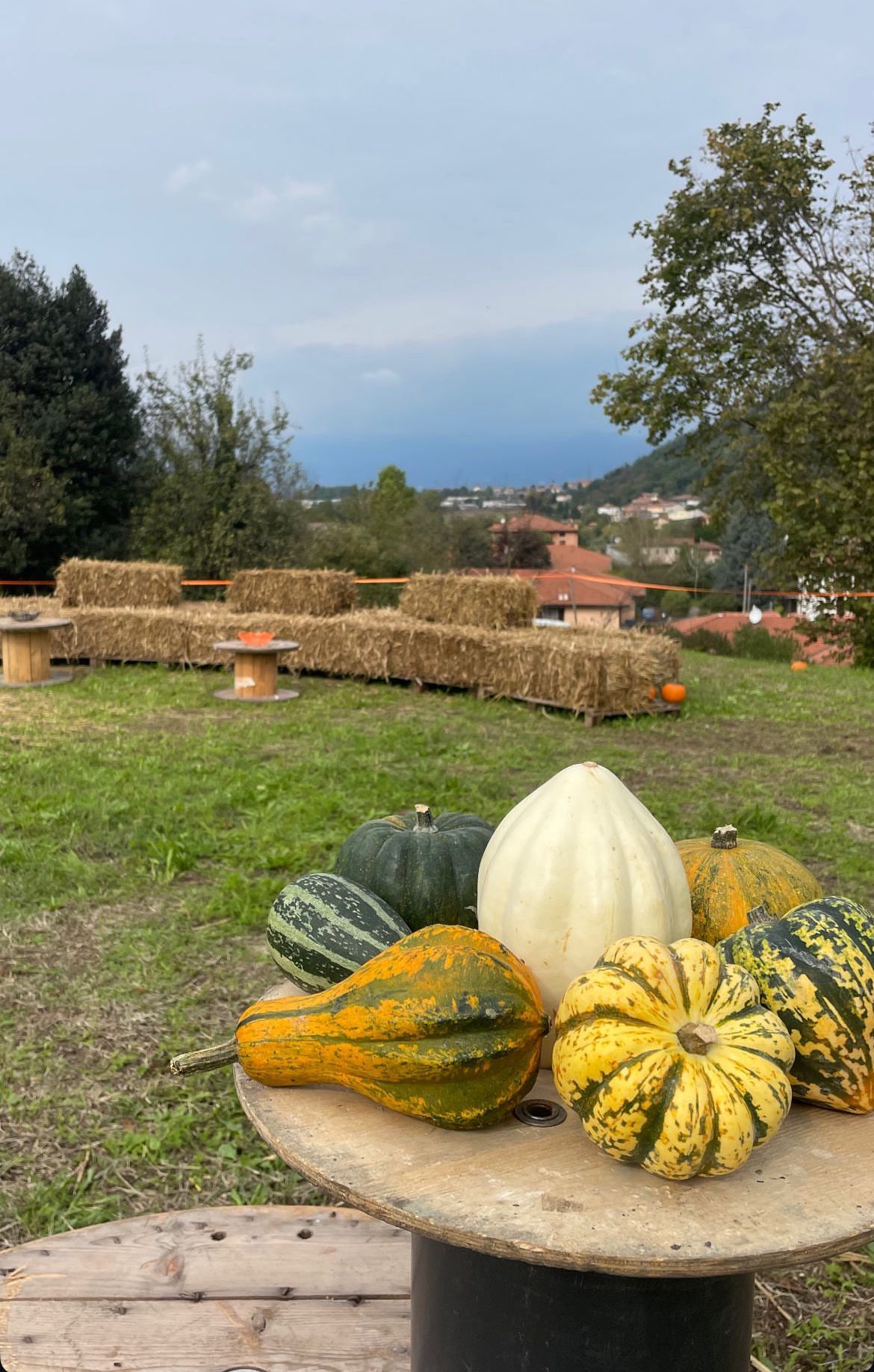 Biglietto campo delle zucche